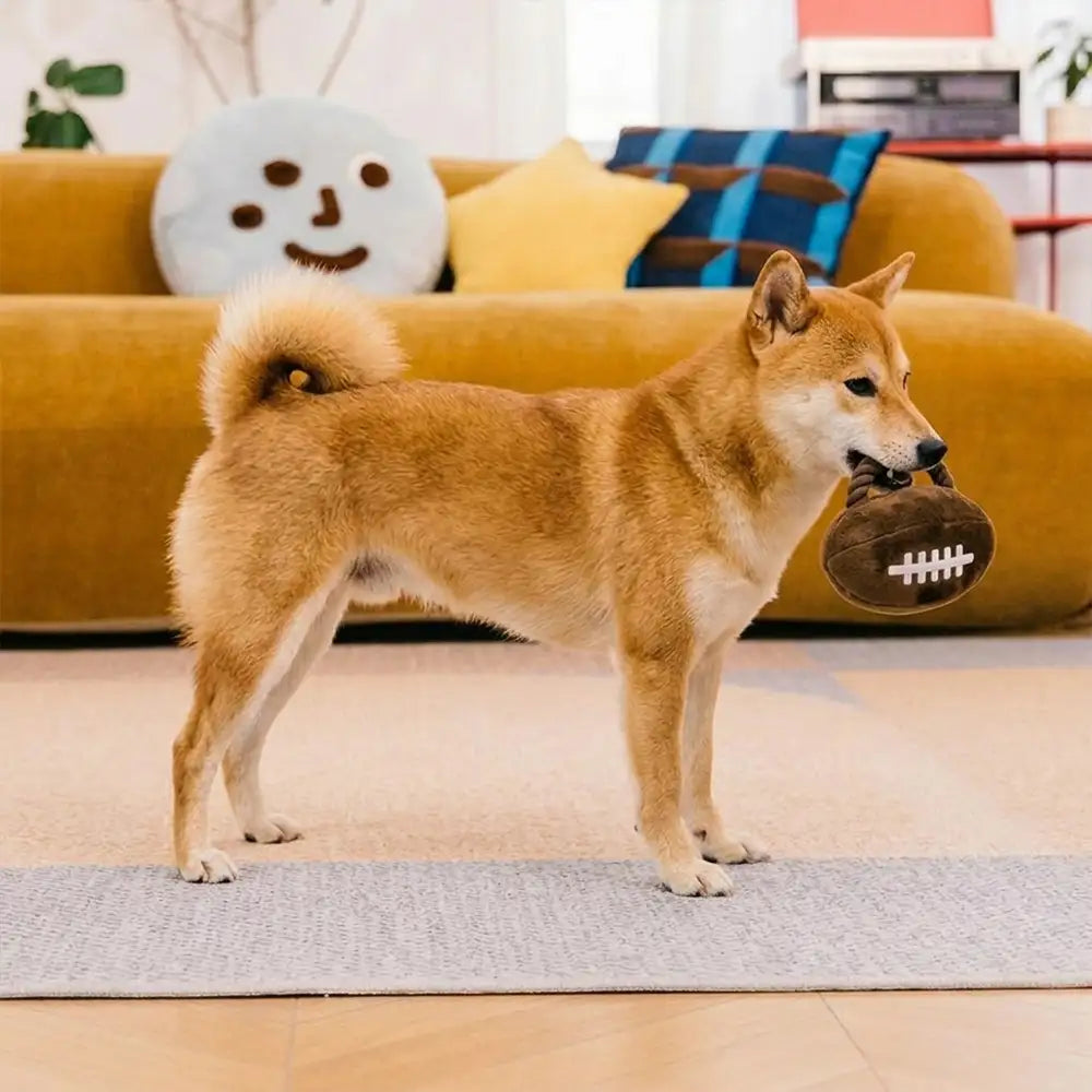 Fun Balls Dog Rope Chew Toy