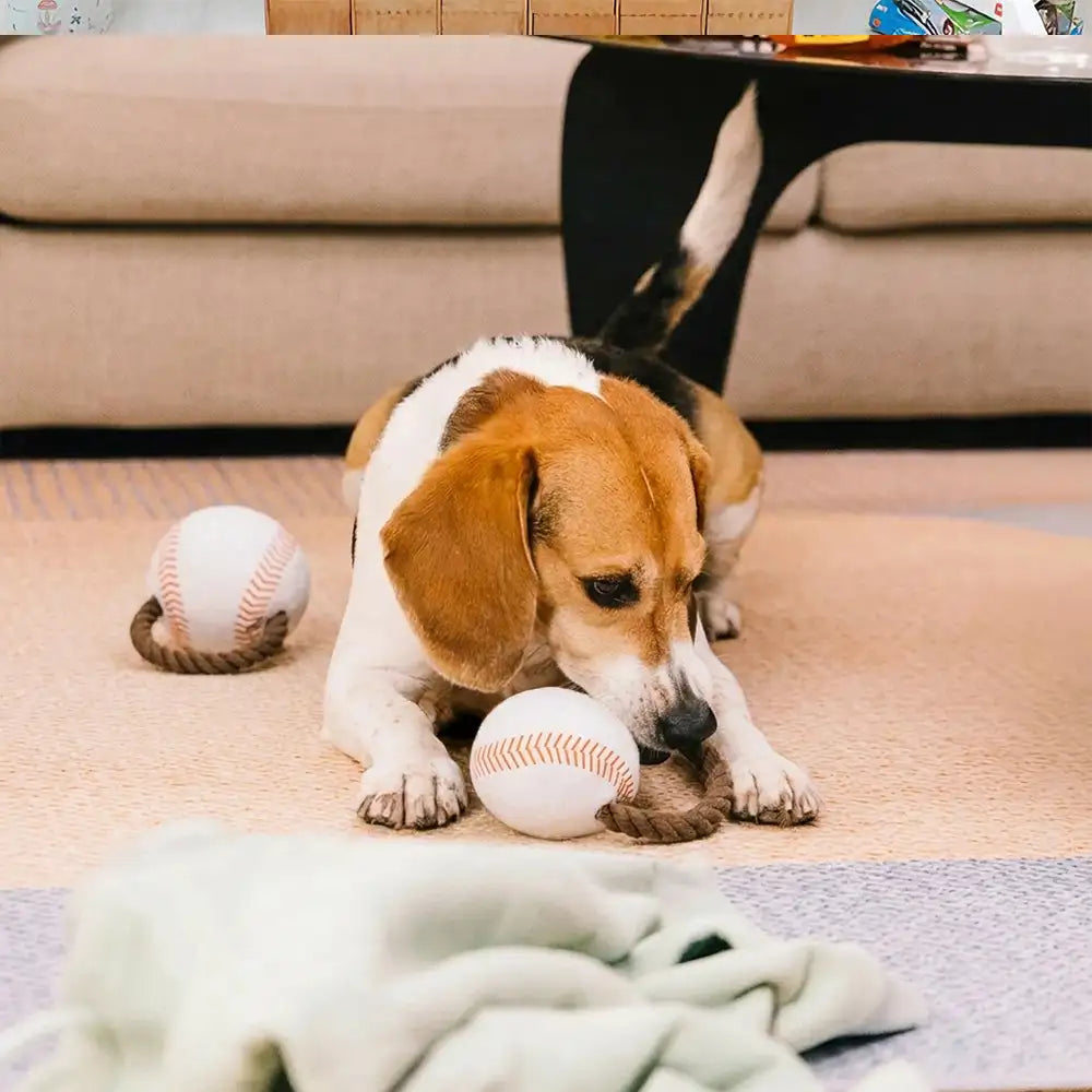 Fun Balls Dog Rope Chew Toy