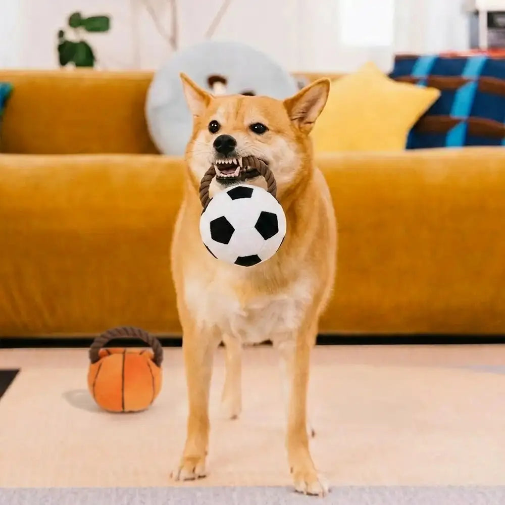 Fun Balls Dog Rope Chew Toy
