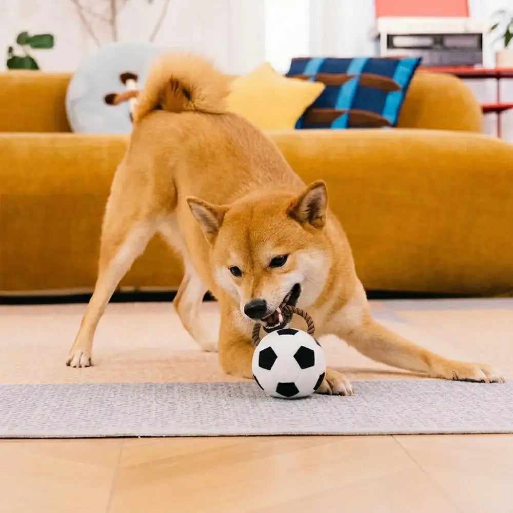 Fun Balls Dog Rope Chew Toy