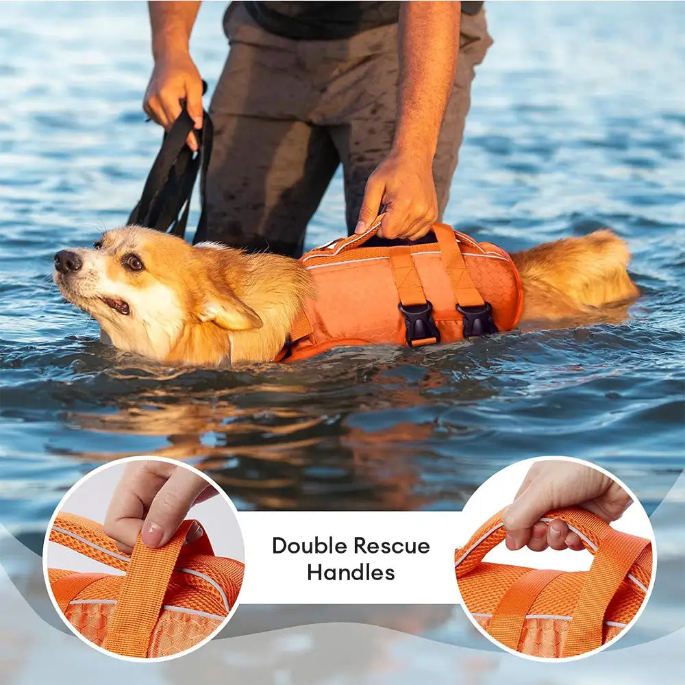 Adjustable Dog Life Jacket with Reflective Strips for Medium and Large Dogs
