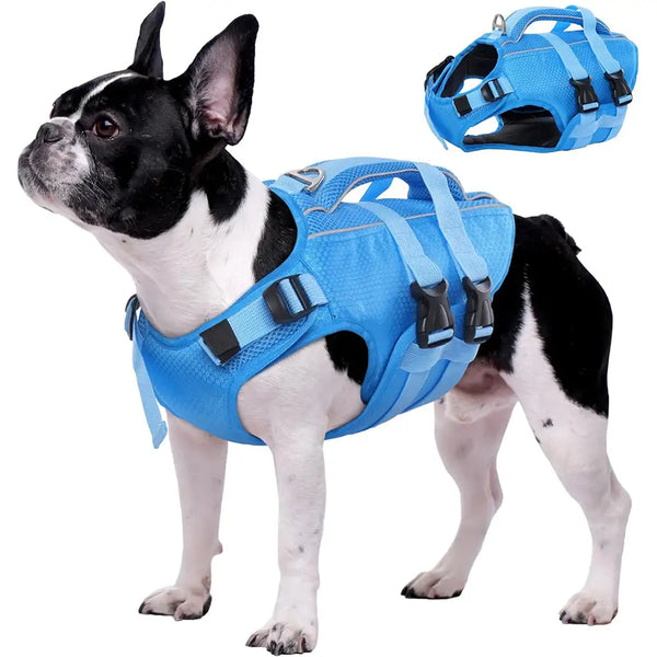 Adjustable Dog Life Jacket with Reflective Strips for Medium and Large Dogs