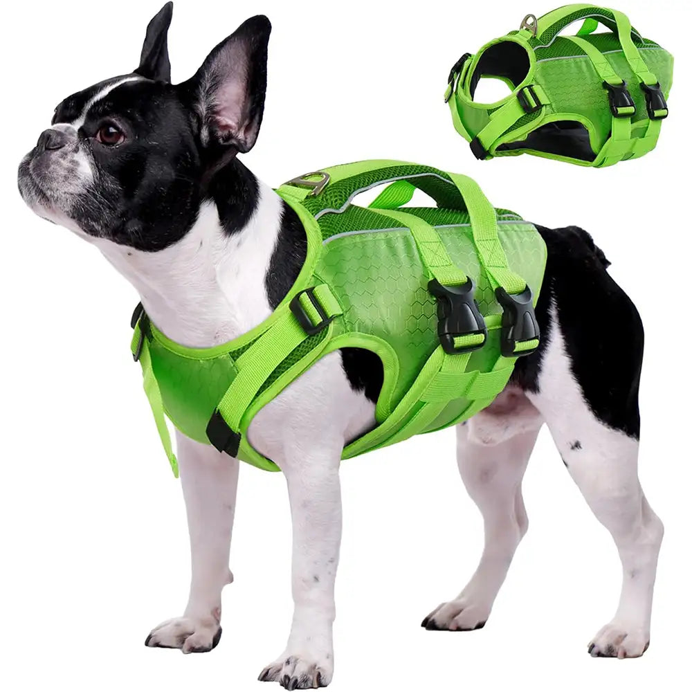 Adjustable Dog Life Jacket with Reflective Strips for Medium and Large Dogs