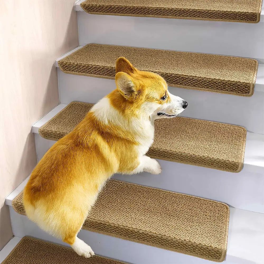 Trañas de escaleras de alfombra lavables sin cinta antideslizante