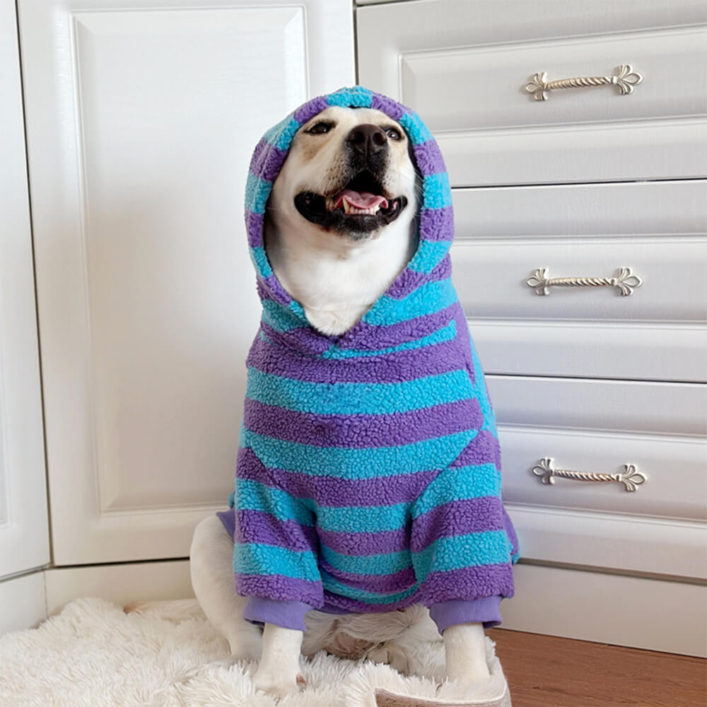 Bold Color Stripe Warm Breathable Dog Hoodie