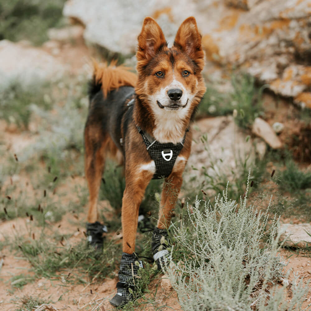 Chic Waterproof Reflective Anti-Slip Rubber Velcro Outdoor Dog Boots