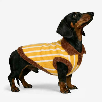 Color Blocked Striped Polo Collar Dog Sweater For Small Dogs