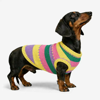 Color Blocked Striped Sleeveless Dog Sweater For Small Dogs