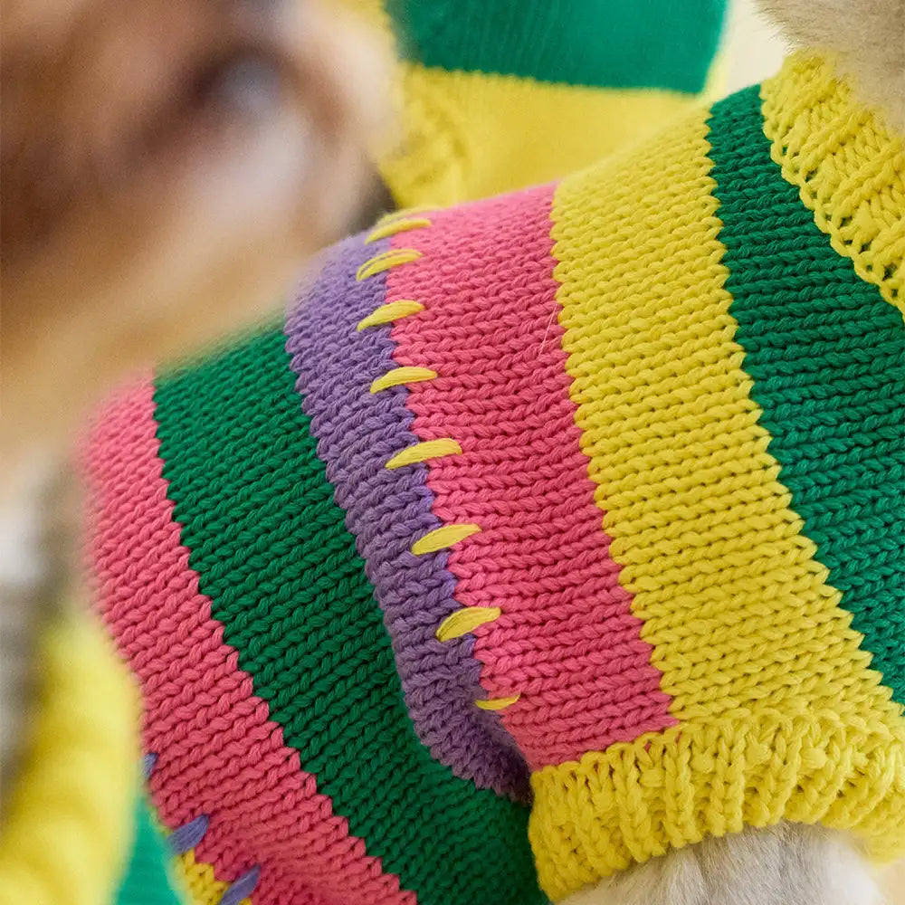 Color Blocked Striped Dachshund Sleeveless Dog Sweater