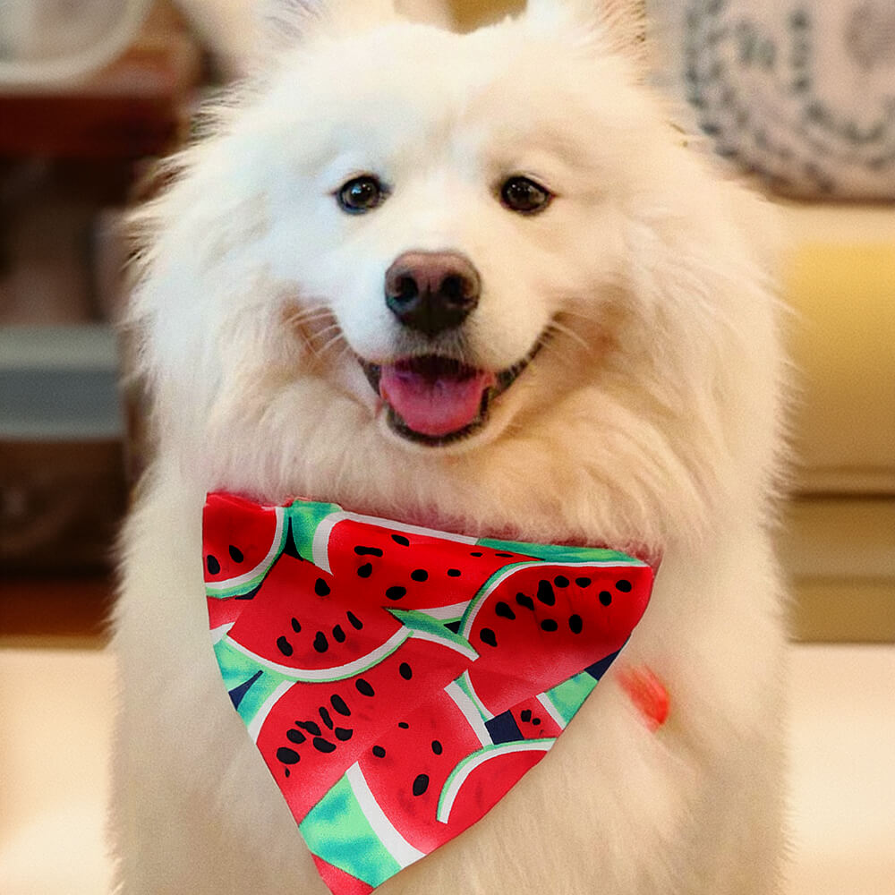 Trendy Tie-On Pets Stylish Accessories Dog Bandana