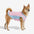 Cooling Ice Silk Sunscreen Dog Vest