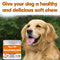 Dog Multivitamin Treats for Immune Health and Skin & Coat Support - 120 Count