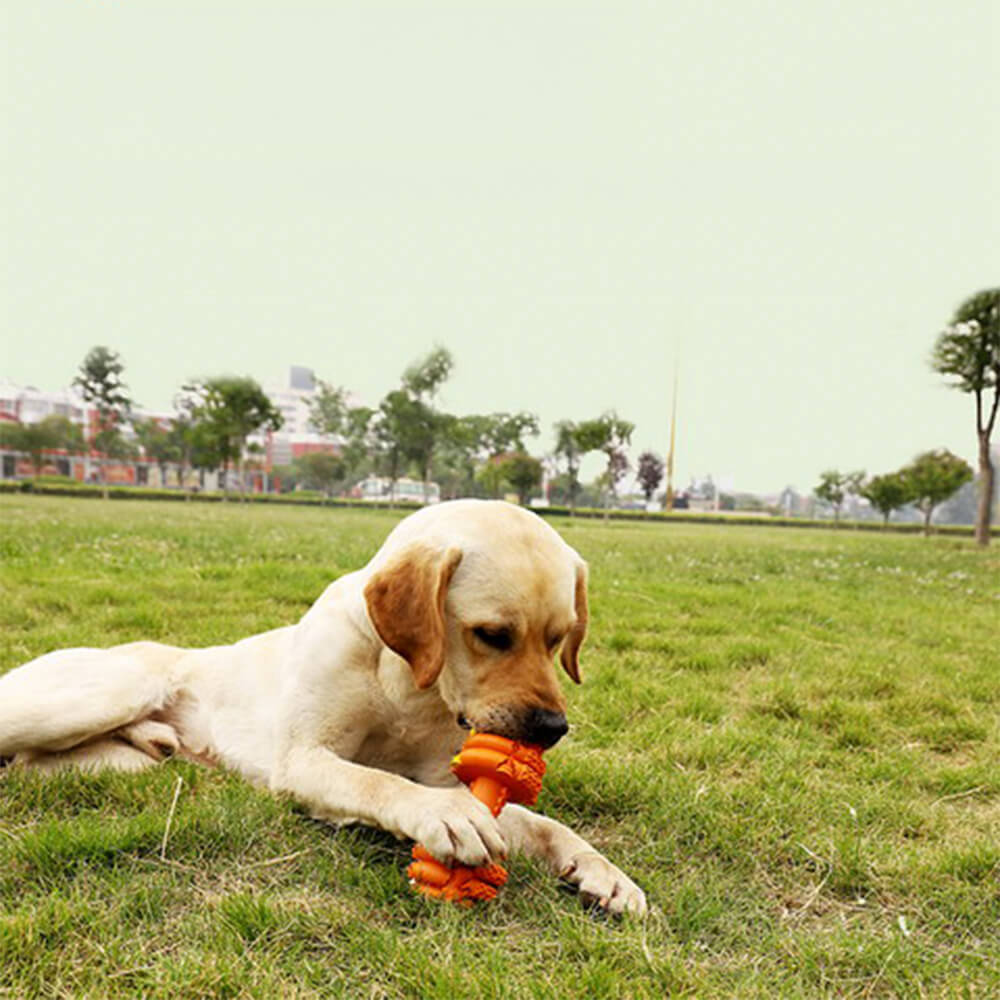 Dumbbell Silicone Slow Feeder Durable Interactive Dog Toy