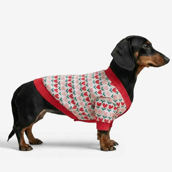 Fair Isle Heart Patterned Cardigan Dog Sweater For Small Dogs