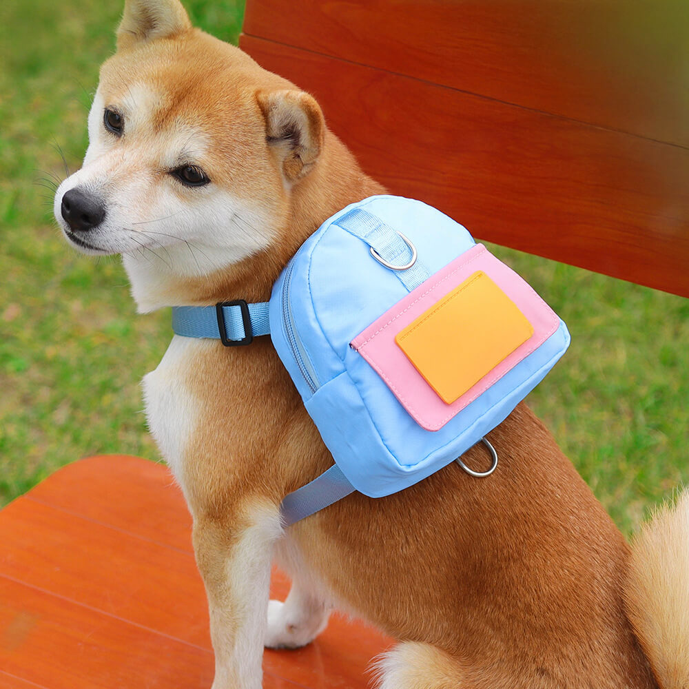 Fashionable Leash-Compatible Outdoor Adventure Pet Backpack