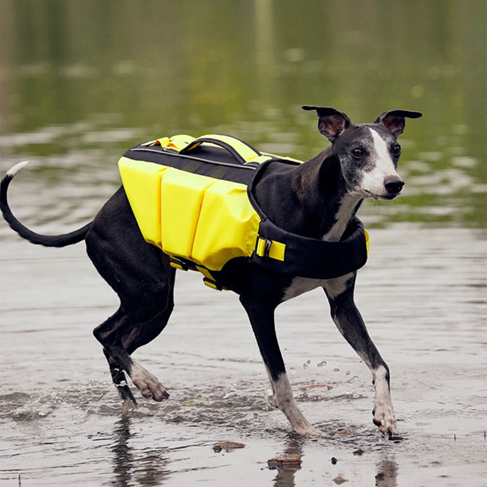 Float Buddy Durable Adjustable Dog Life Jacket - Water Safety for Pets