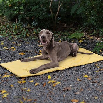 Alfombra de acampar para perros plegable para perros portátiles impermeables