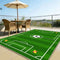 Football Field Pattern Scratch-Resistant Non-Slip Carpet