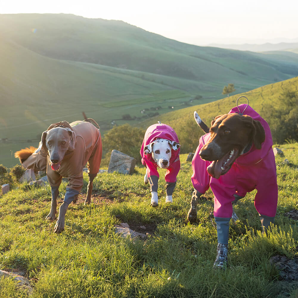 Full Coverage Waterproof Reflective Adjustable Turtleneck Warm Dog Jacket