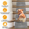 Escaleras de rampa para perros de espuma modular para escaleras de escalera con velcro