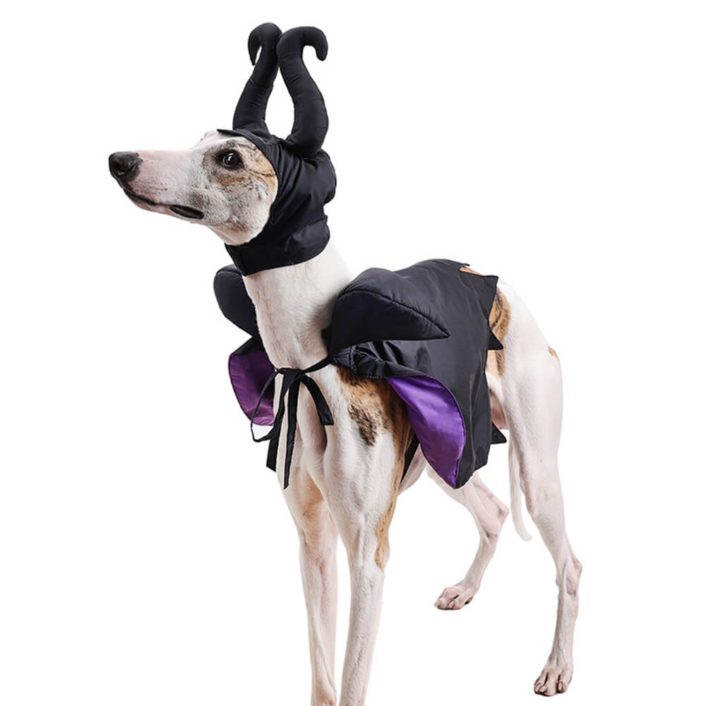 Disfraz de capa de bruja de Halloween Ropa para mascotas