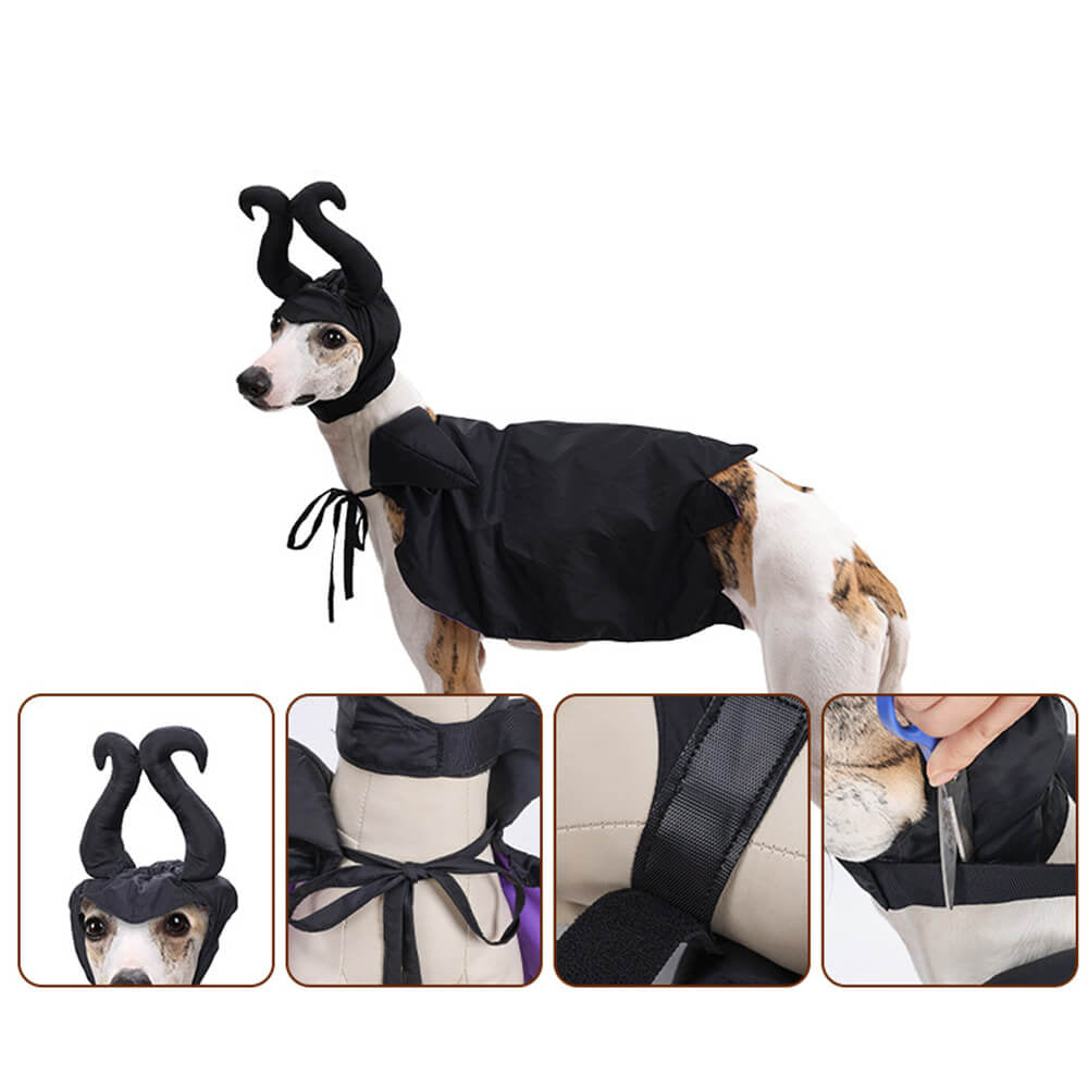 Halloween Witch Cloak Costume Pet Apparel