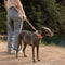 Heavy-Duty Hand-Woven Nylon Dog Leash for Medium and Large Dogs