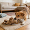 Interactive Dog Chew Toy - Horse