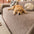 Linework Pattern Chenille Comfortable Scratch-Resistant Sofa Protection Couch Cover