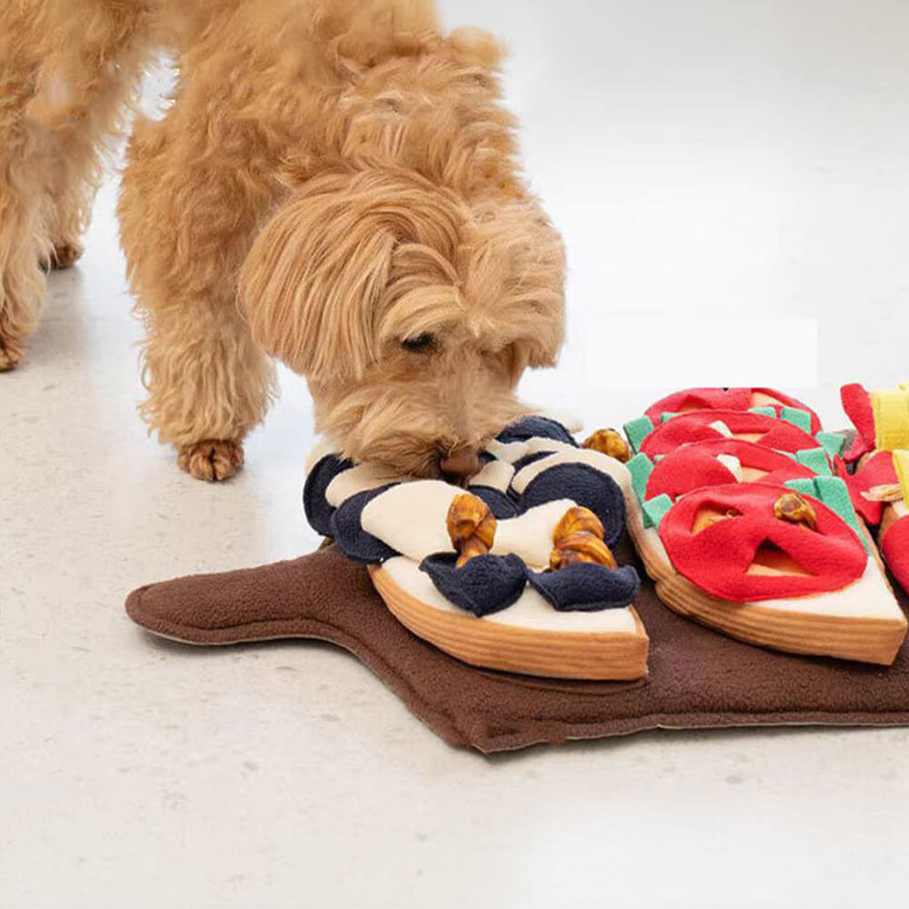 Multi-Flavor Pizza Squeaky Slow Feeder Dog Snuffle Mat Toy