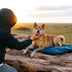 Outdoor Campsite Moisture-Proof And Waterproof Portable Foldable Dog Mat Bed