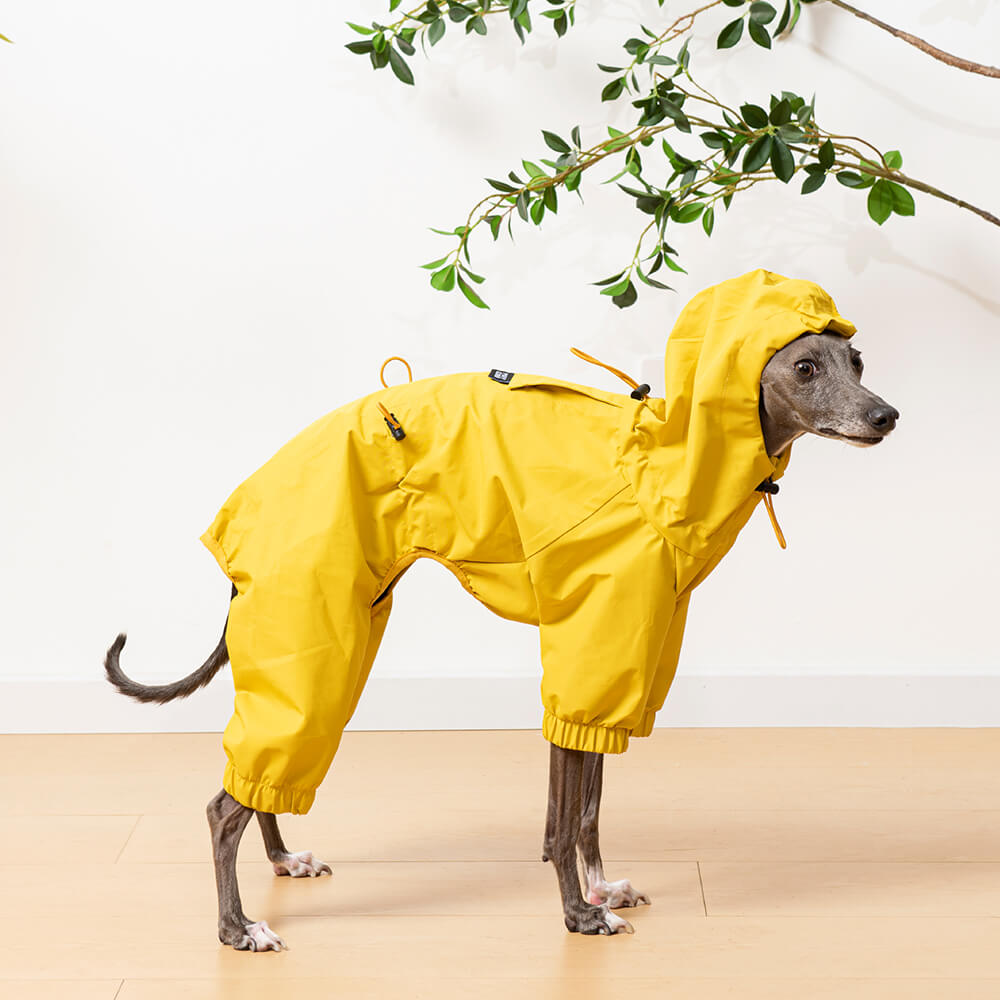 Outdoor Lightweight Waterproof Dog Raincoat with Hood