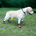 Outdoor Waterproof Warm Durable Reflective Dog Boots