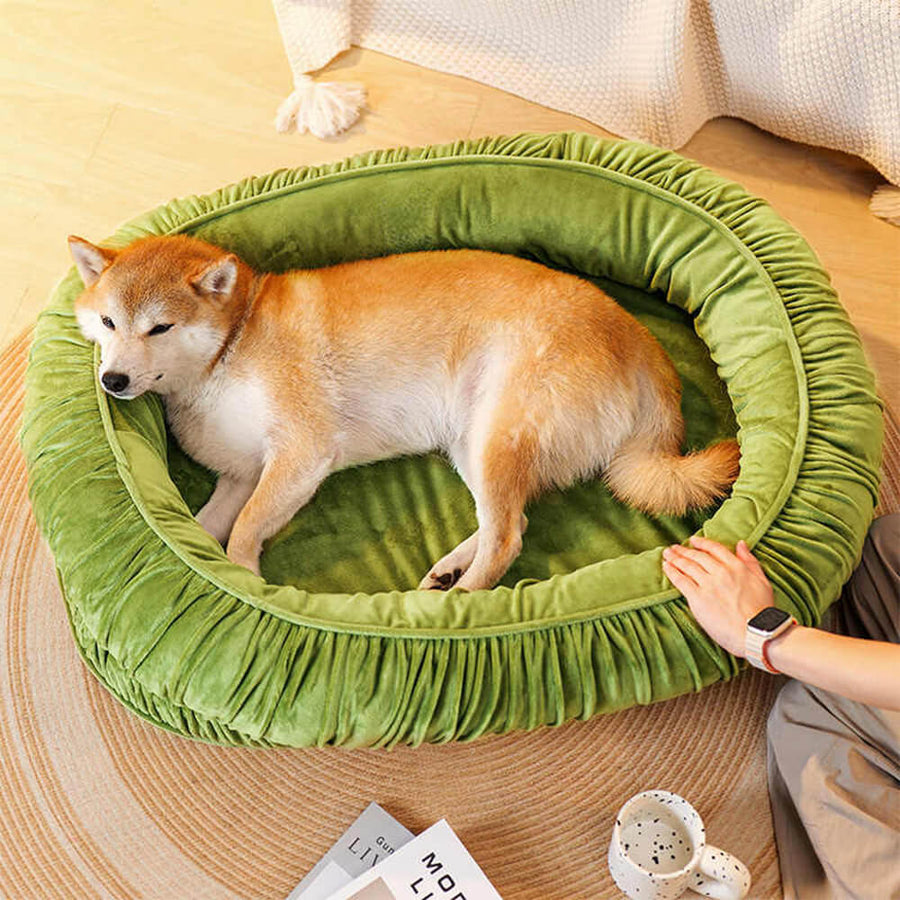 View of Oval Orthopedic Support Cozy Sleeping Detachable Dog & Cat Bed - FUNNYFUZZY