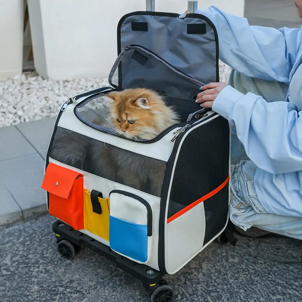 Portable Rolling Pet Backpack Carrier with Detachable Trolley