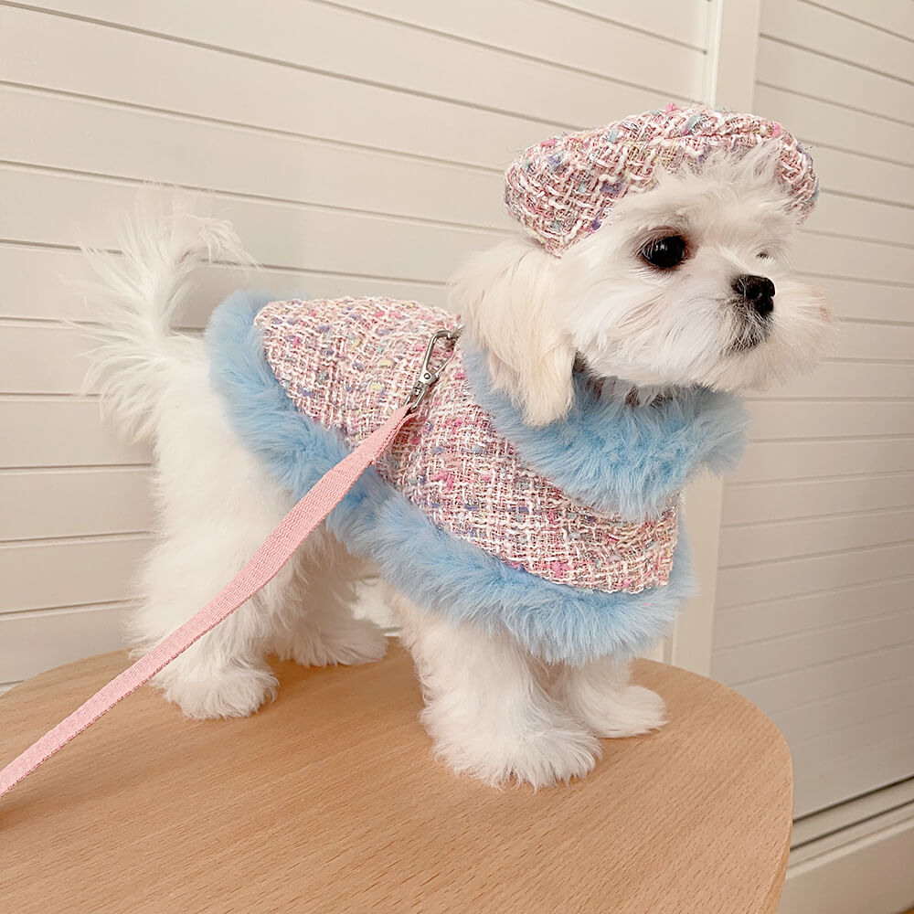 Princess Style Dog & Cat Beret Cape Leash Accessories Set