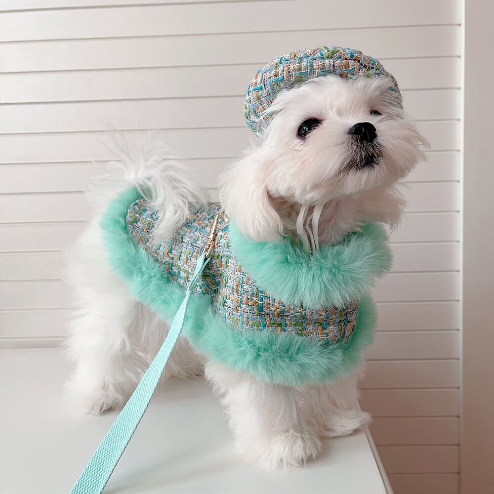 Princess Style Dog & Cat Beret Cape Leash Accessories Set