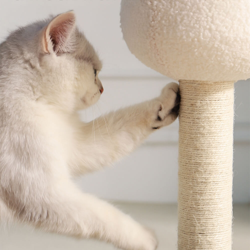 Red Mushroom Cat Climbing Frame with Sisal Scratching Post & Cozy Cat Tree