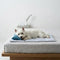 Refreshing Striped Cooling Ice Silk Non-Slip Dog Mat with Pillow