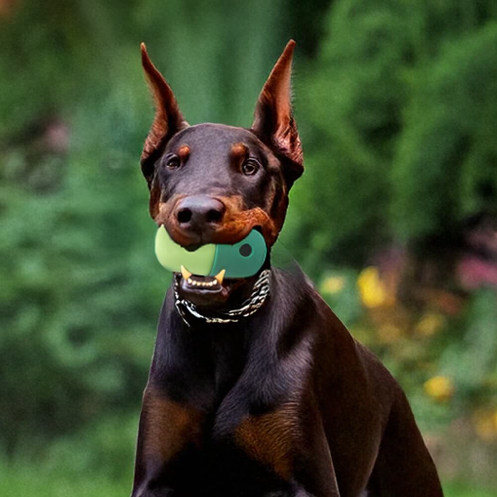 Rolling Treat Ball Interactive Silicone Dog Toy