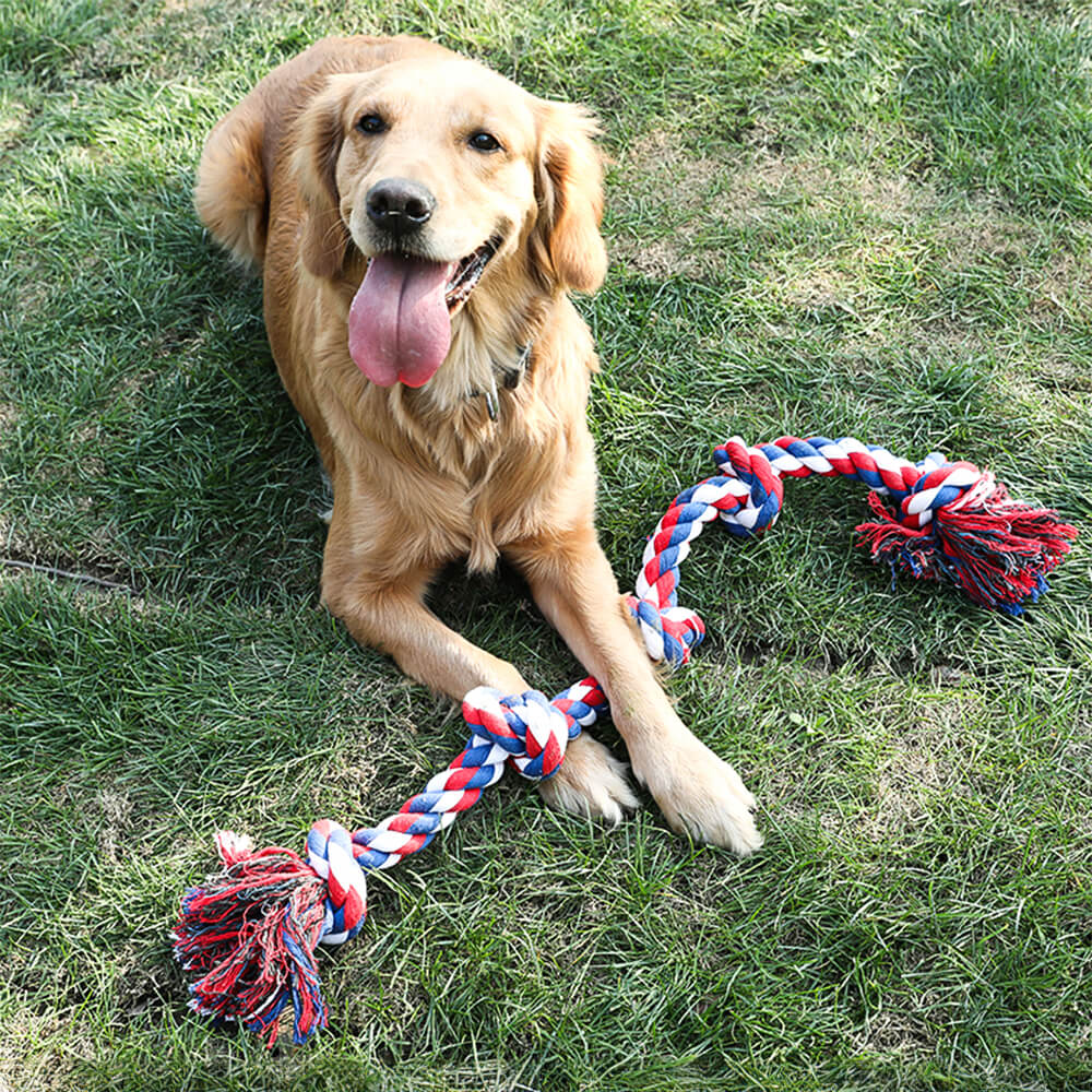 Rope Knot Tug Dog Interactive Toy