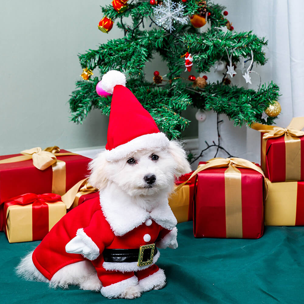 dog christmas fancy dress Santa Dog Costume: Festive Christmas Pet Outfit With Hat
