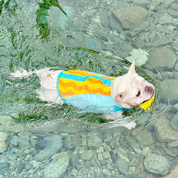 Stylish Color-Blocked Dog Life Jacket