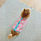 Stylish Color-Blocked Dog Life Jacket