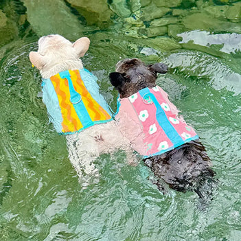 Stylish Color-Blocked Dog Life Jacket