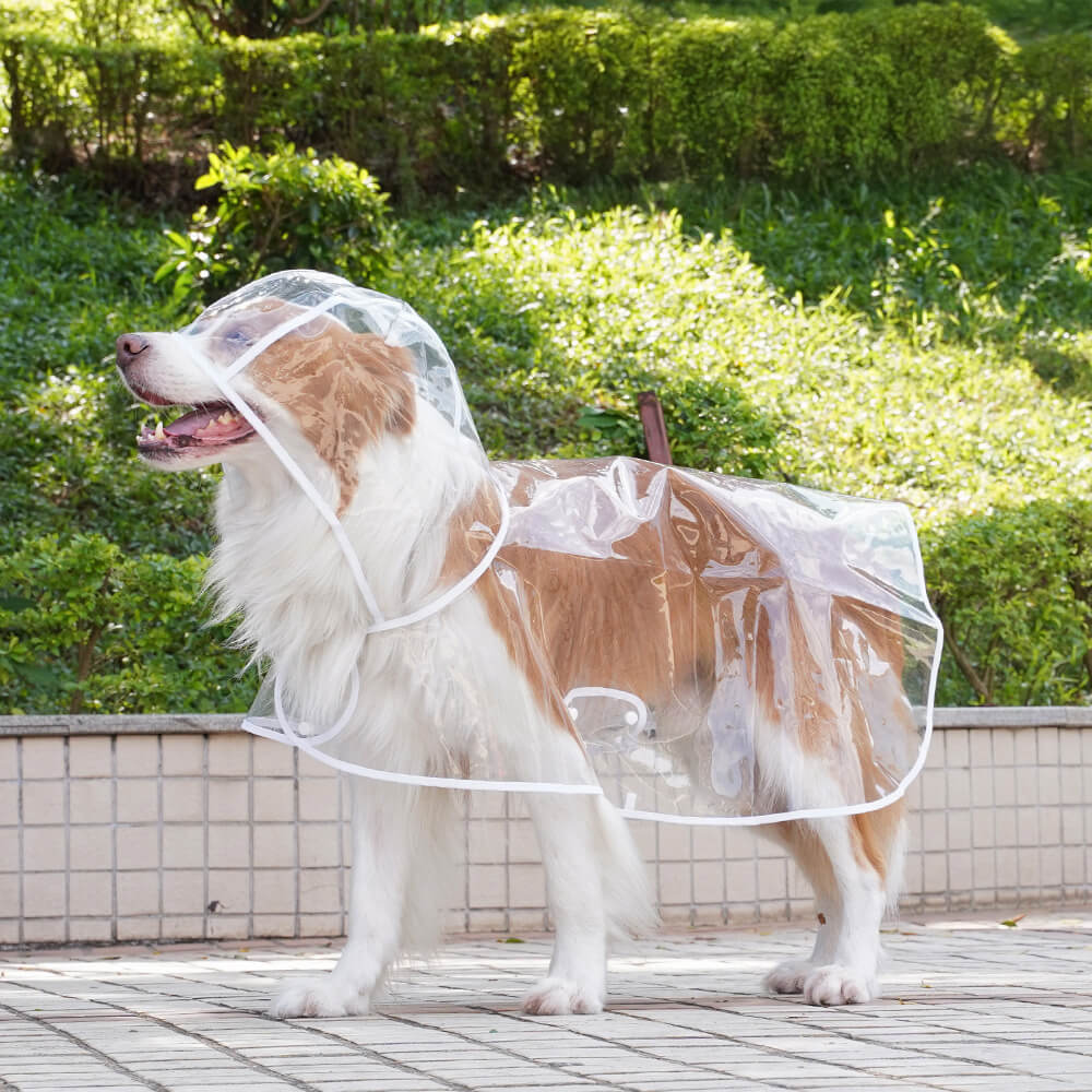 Transparent EVA Waterproof Outdoor Dog Hooded Raincoat