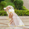 Transparent EVA Waterproof Outdoor Dog Hooded Raincoat