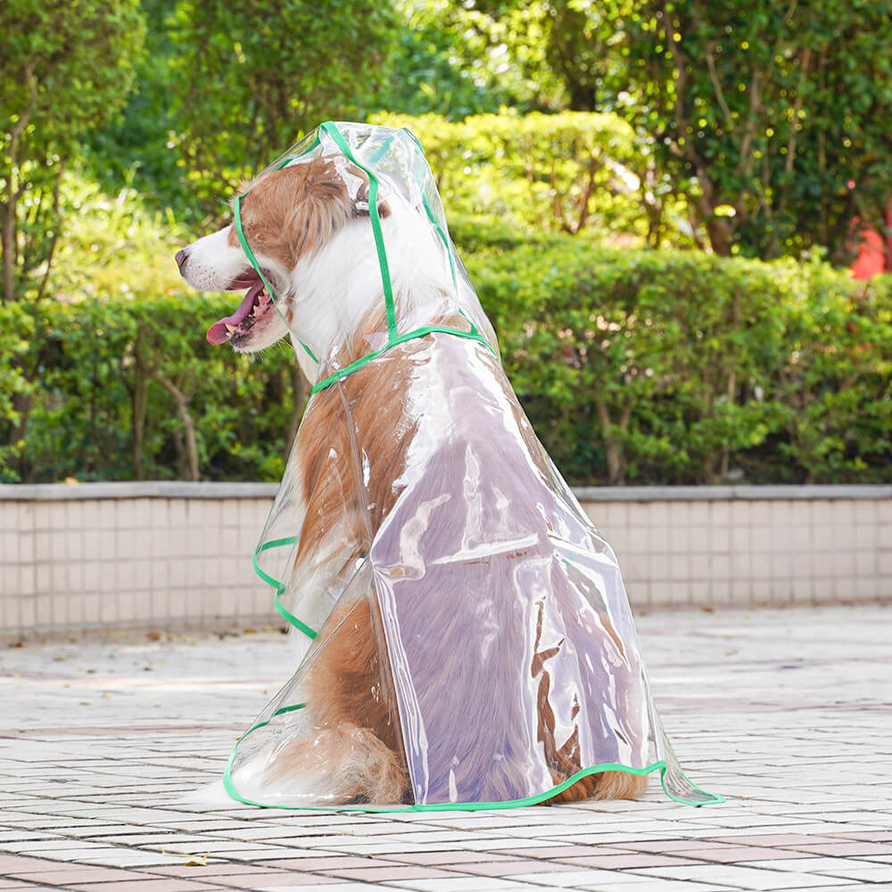 Transparent EVA Waterproof Outdoor Dog Hooded Raincoat