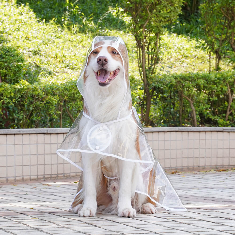 Transparent EVA Waterproof Outdoor Dog Hooded Raincoat