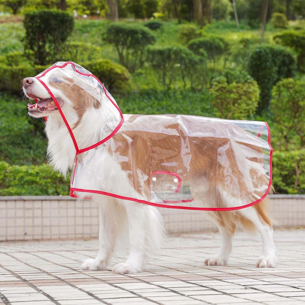 Transparent EVA Waterproof Outdoor Dog Hooded Raincoat